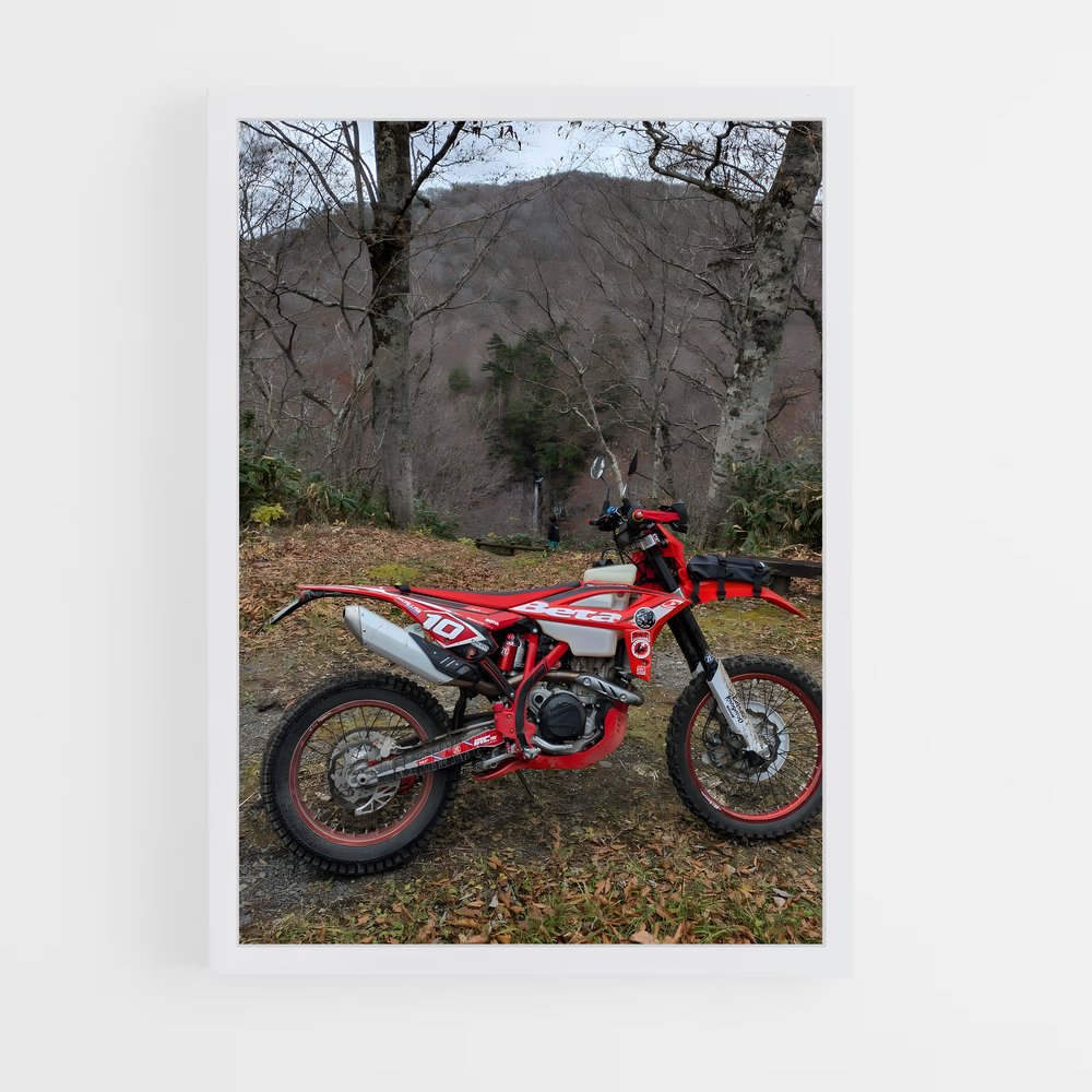 Poster Éblouissant RR-S – affiche Beta (vue 3)